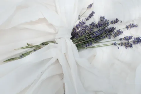 Lavender Field 4K Wallpaper · flowers · 3840×2560