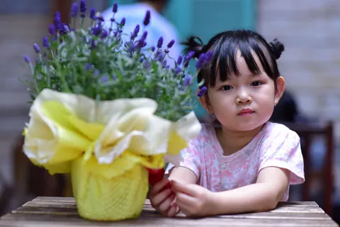 薰衣草田 4K壁纸 · flowers · 3840×2563