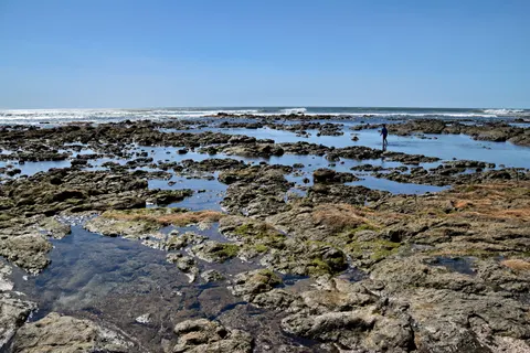 潮汐池 4K壁纸 · ocean · 3840×2560