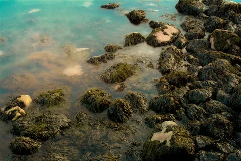 Fondo de pantalla Poza de Marea 4K · ocean · 3840×2560