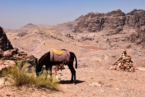 Fondo de pantalla Petra 4K · travel · 3840×2560