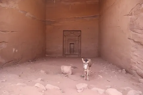 Fondo de pantalla Petra 4K · travel · 3840×2560