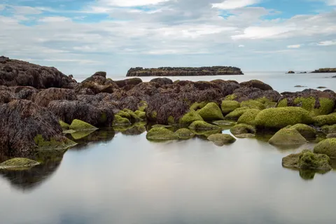 潮汐池 4K桌布 · ocean · 3840×2560