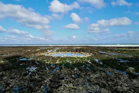 潮汐池 4K桌布 · ocean · 3840×2562