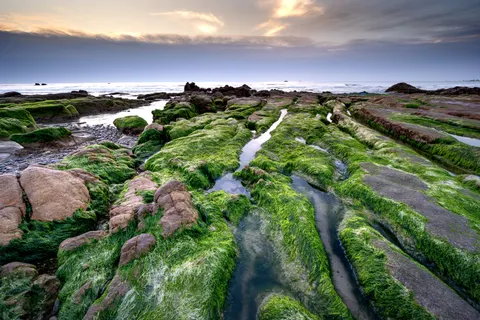 潮汐池 4K桌布 · ocean · 3840×2560