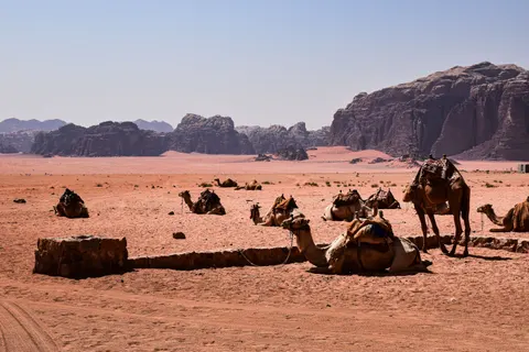Petra 4K Wallpaper · travel · 3840×2560