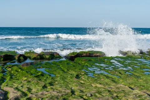 潮汐池 4K壁纸 · ocean · 3840×2560