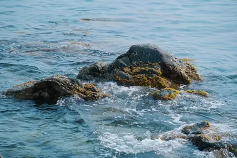潮汐池 4K桌布 · ocean · 3840×2560