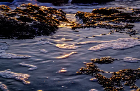 潮汐池 4K桌布 · ocean · 3840×2502