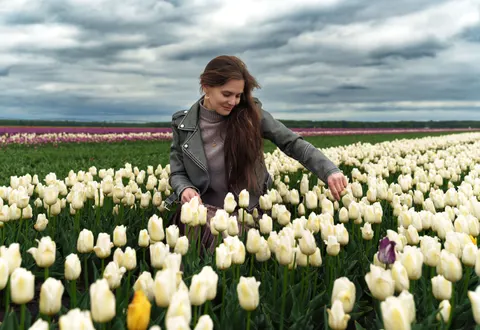 Fond d'écran Champ de tulipes 4K · flowers · 3840×2643
