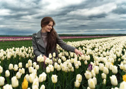 チューリップ畑 4K壁紙 · flowers · 3840×2737