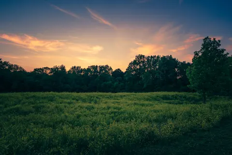 خلفية حقل ريفي بدقة 4K · nature · 3840×2563