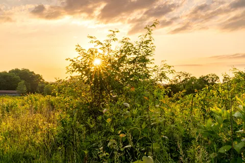 Fondo de pantalla Campo rural 4K · nature · 3840×2560