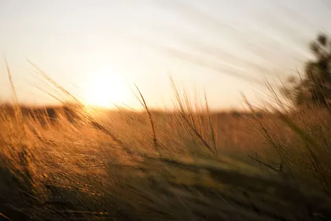 Обои Сельское поле 4K · nature · 3840×2560