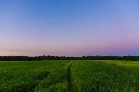 Fondo de pantalla Campo rural 4K · nature · 3840×2560