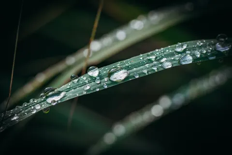 Обои Утренняя роса 4K · nature · 3840×2560