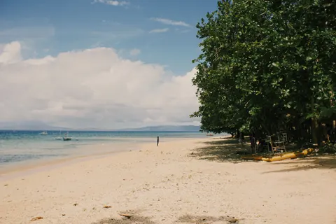 Tropical Beach 4K Wallpaper · ocean · 3840×2560