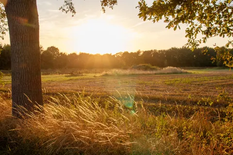 Countryside Field 4K Wallpaper · nature · 3840×2560