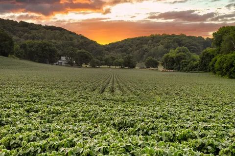 Countryside Field 4K Wallpaper · nature · 3840×2560