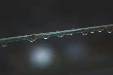सुबह की ओस 4K वॉलपेपर · nature · 3840×2560