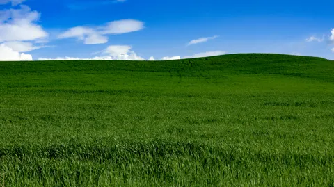Fond d'écran Prairie ouverte 4K · nature · 3840×2154