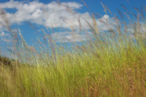 開闊草原 4K桌布 · nature · 3840×2560