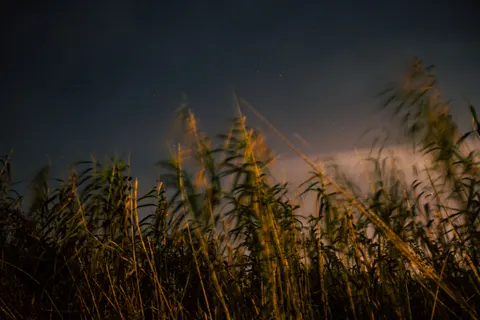 開闊草原 4K桌布 · nature · 3840×2560