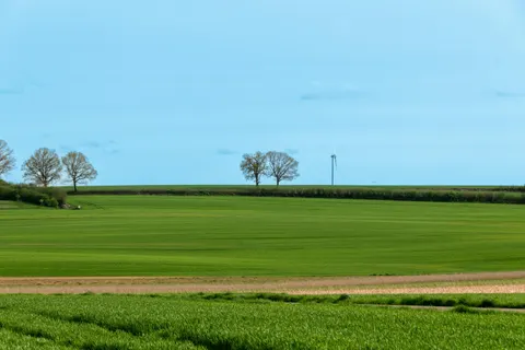 Wallpaper Padang Rumput Terbuka 4K · nature · 3840×2560