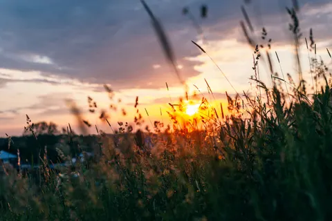 خلفية حقل ريفي بدقة 4K · nature · 3840×2563