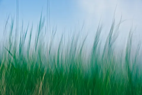 开阔草甸 4K壁纸 · nature · 3840×2560