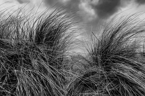Fond d'écran Prairie ouverte 4K · nature · 3840×2560