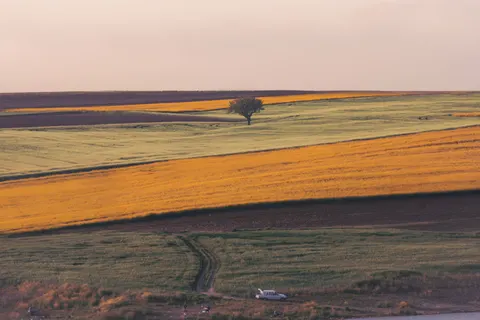 خلفية حقل ريفي بدقة 4K · nature · 3840×2560