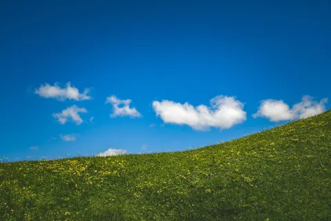 開闊草原 4K桌布 · nature · 3840×2560