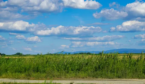開闊草原 4K桌布 · nature · 3840×2226