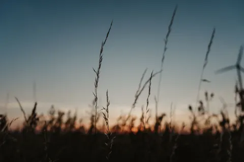 開闊草原 4K桌布 · nature · 3840×2560