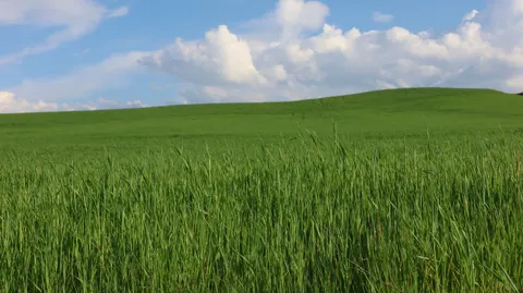 Fond d'écran Prairie ouverte 4K · nature · 3840×2154