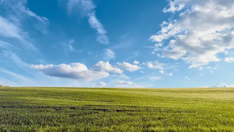 Open Meadow 4K Wallpaper · nature · 3840×2160