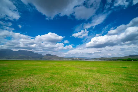 Wallpaper Padang Rumput Terbuka 4K · nature · 3840×2563