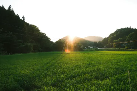 Countryside Field 4K Wallpaper · nature · 3840×2560