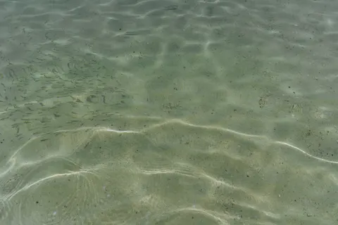 산호초 4K 배경화면 · ocean · 3840×2560
