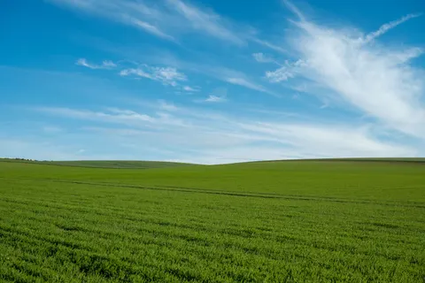 Wallpaper Padang Rumput Terbuka 4K · nature · 3840×2560