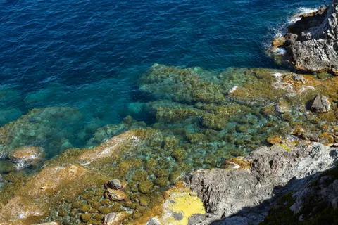 Fond d'écran Récif corallien 4K · ocean · 3840×2560