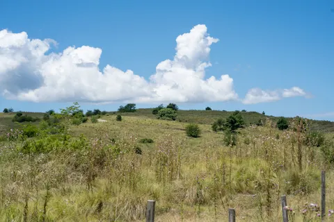 開闊草原 4K桌布 · nature · 3840×2560