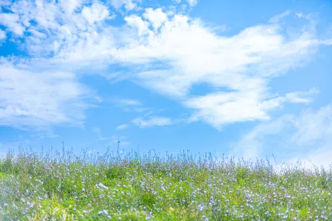 Fond d'écran Prairie ouverte 4K · nature · 3840×2560