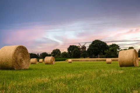 Countryside Field 4K Wallpaper · nature · 3840×2563