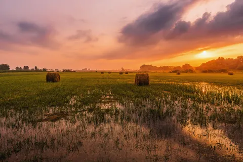 Countryside Field 4K Wallpaper · nature · 3840×2560