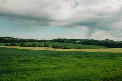 Open Meadow 4K Wallpaper · nature · 3840×2560