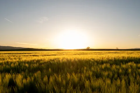 Countryside Field 4K Wallpaper · nature · 3840×2560
