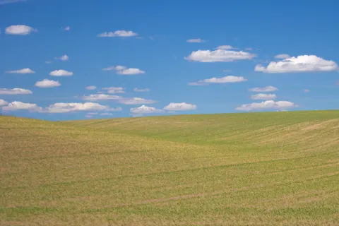 開闊草原 4K桌布 · nature · 3840×2560