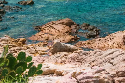 Korallenriff 4K Hintergrundbild · ocean · 3840×2560